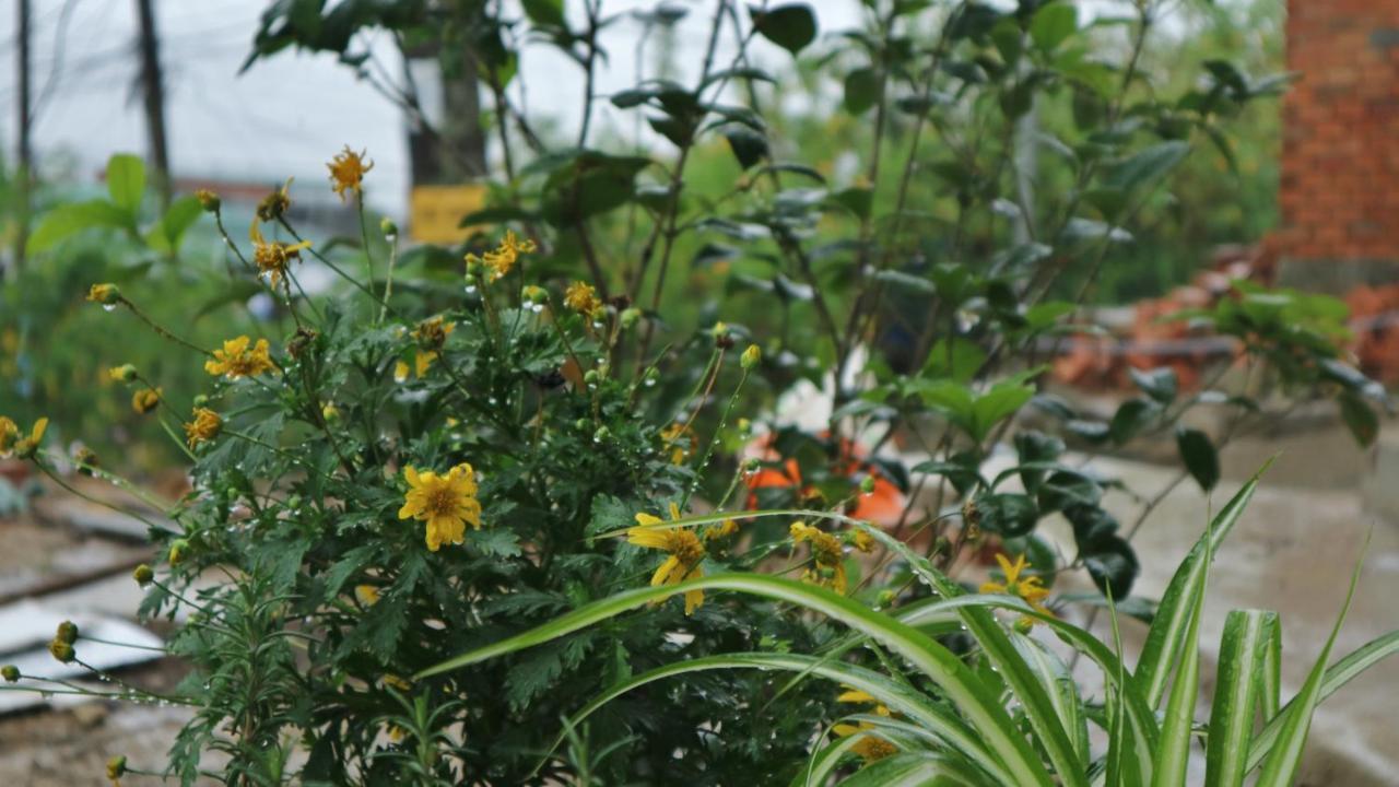Komori House Bed & Breakfast Da Lat Exterior foto